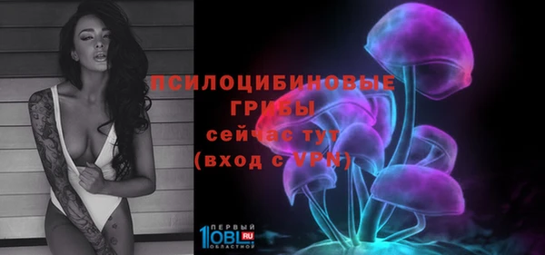 таблы Алексин