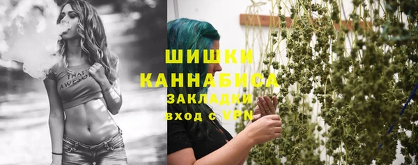 дурь Алзамай