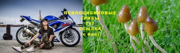 дживик Алексеевка