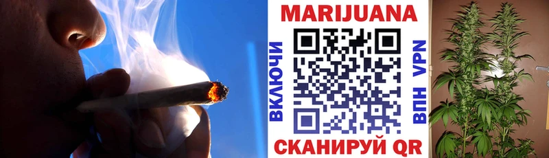 Шишки марихуана сатива  где можно купить наркотик  Талица 